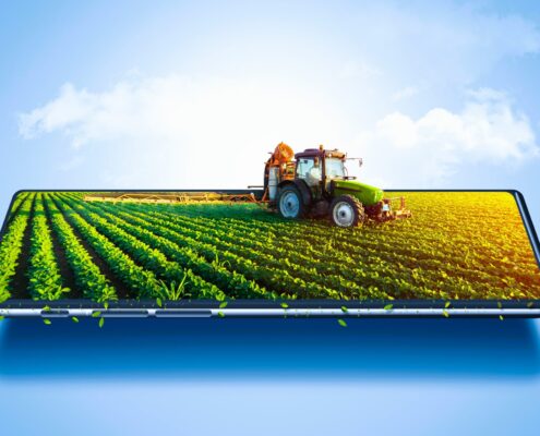 Istock 1371705013